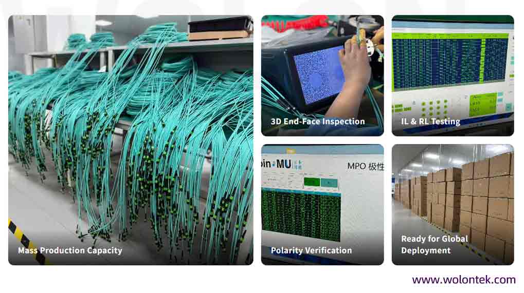 MPO Connector Types & Compatibility: A, B, C Polarity and MTP® Details WolonFiber MPO manufacture