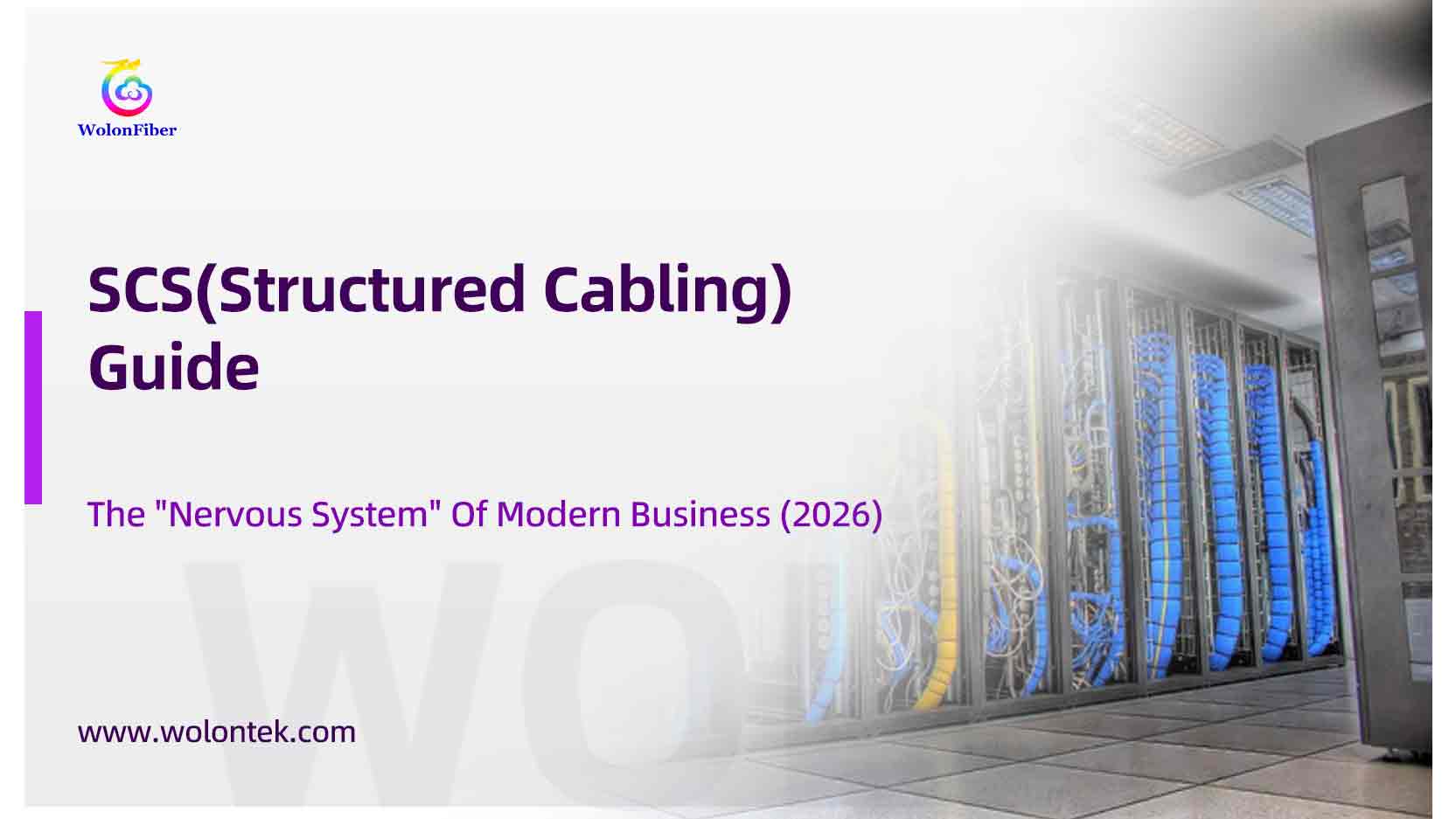 SCS(Structured Cabling) Guide The "Nervous System" Of Modern Business (2026)