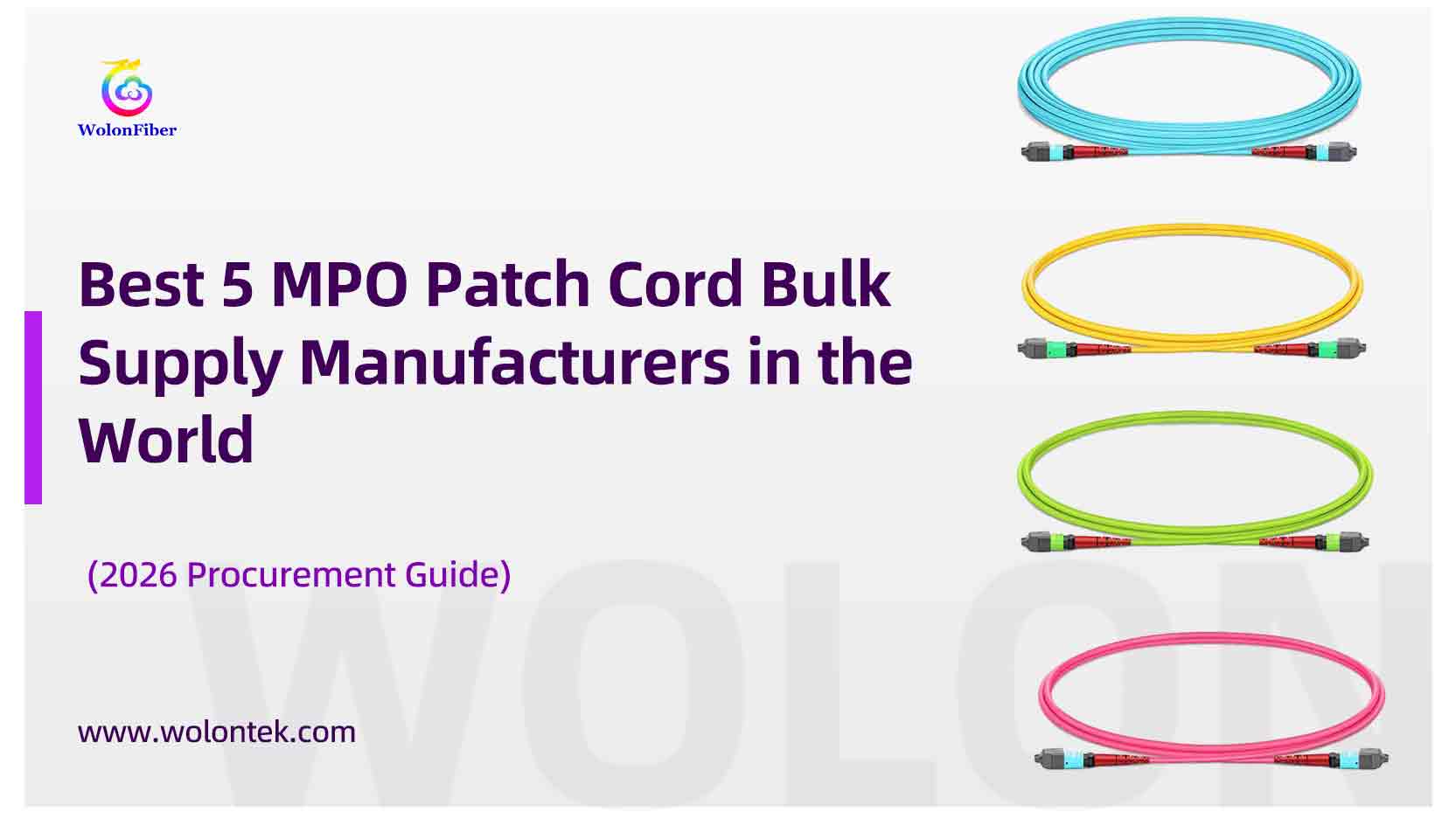 Best-5-MPO-Patch-Cord-Bulk-Supply-Manufacturers-in-the-World-(2026-Procurement-Guide).jpg