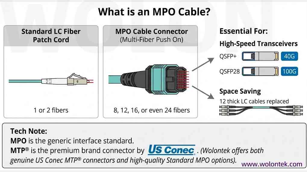 MPO Cable Price Guide (2026): Factory Direct Cost Analysis & Specs