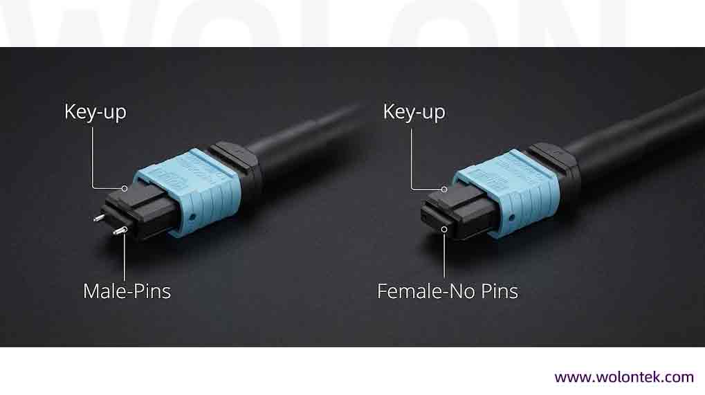 Mpo Fiber Guide 2026 Mpo Fiber Male vs Mpo Fiber Female