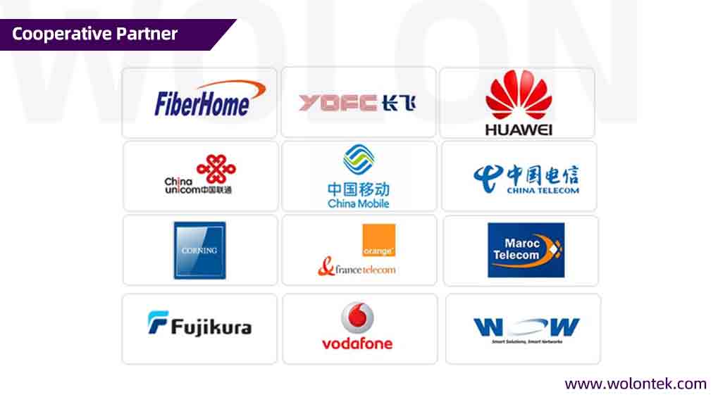 Top 5 Oem/Odm Optical Transceiver Factories In China WOLON Cooperative Partner